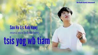 tsis yog wb tiam by lis kub hawj 2024 [upl. by Ahsirpac]