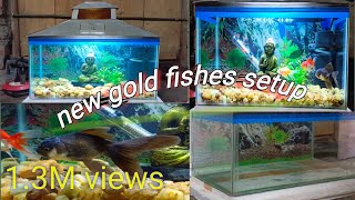 Naw Aquarium Goldfish Setup Galiff Street Fish Market  Galiff Street Fish Market [upl. by Opaline]