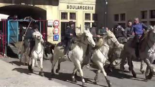 ENTRAÎNEMENT DABRIVADE CAVEIRAC 01 04 2018 [upl. by Tucky]