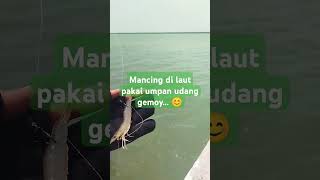 Mancing di laut [upl. by Ahsak]