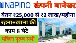 Napino auto electronics में भर्ती  नपीनो कम्पनी मानेसर गुड़गांव  फ्री जॉब  Det job  jobsarching [upl. by Anilorac932]