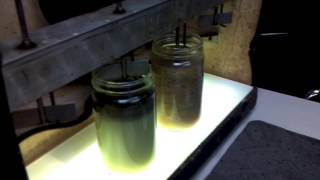 Industrial Wastewater Treatment  Flocculation [upl. by Zoarah]