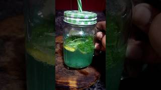 Pulse Mohito  Mahis kitchen  Summer drink shorts ytshorts mohito instantrecipe [upl. by Fleece]