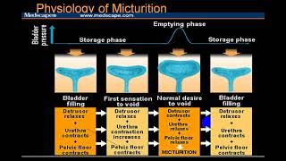 NEUROGENIC BLADDER [upl. by Ottie915]