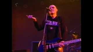 The Smashing Pumpkins  Live in Düsseldorf Germany 1996 [upl. by Adnav]