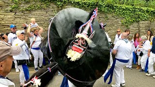 Padstow May Day 2022 and the Blue Ribbon Obby Oss [upl. by Aihtniroc]