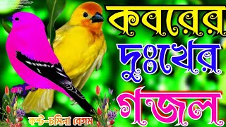 খুবই দুঃখের সেরা গজল  প্রান পাকি উড়িয়া যেদিন যাইবে দেহ ছেড়ে  Somina Begum  New bangla gojol [upl. by Elatsyrk764]