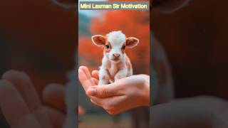 So Cute 🥰🦋 Laxman Sir Trick Wale shorts minilaxmansirmotivation laxmansir cow status [upl. by Adiell]