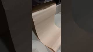 Paper towel dispenser gives me a lot of paper towel 🤣🤣 [upl. by Irvin]