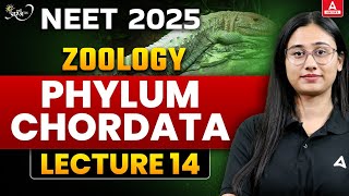 Phylum Chordata Class 11  NEET 2025  Animal Kingdom  PRARAMBH Series  Bharti Singh [upl. by Anilahs]