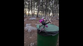 Freestyle Fpv who put so many trees [upl. by Ninnahc]