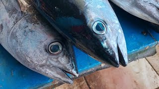 Live 04 Aug 24 ‼️🔥 Cutting fresh yellowfin tuna by skilled hands at Sorong market in Indonesia [upl. by Seligmann]