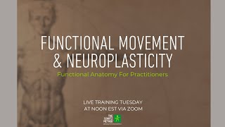 Functional Movement amp Neuroplasticity  LIVE Practitioner Training Tuesday [upl. by Cowan981]