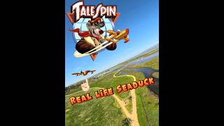 The Seaduck is back disney talespin rcplane [upl. by Lynette329]