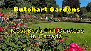 Butchart Gardens  Full Walking Tour 4K  Victoria BC  July 2024 [upl. by Nylassej]