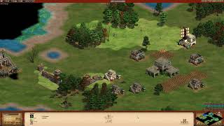 AOE 2HD 2vs2 Another Tower Rush against AI [upl. by Angell]