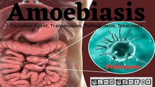 Amoebiasis  Dysentery  Causative Agent Transmission Pathogenesis Diagnosis and Treatment [upl. by Klapp764]