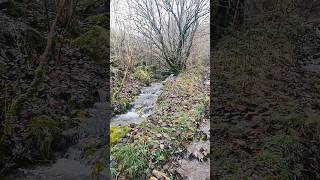 Peak District  autumnalwintery  waterfalls [upl. by Chaille542]