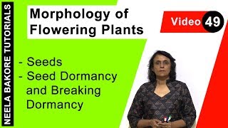 Morphology of Flowering Plants  NEET  Seeds  Seed Dormancy and Breaking Dormancy  Neela Bakore [upl. by Aloap747]