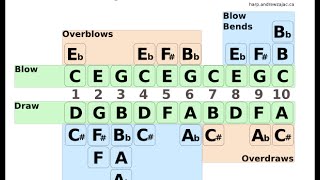 Overblows and harmonicas [upl. by Melli]