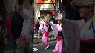 神楽坂まち飛びフェスタ2024阿波おどり祭り 阿波踊り 神楽坂 tokyo japanshorts [upl. by Alfons]