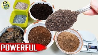 Best DIY Fertilizer Mix Recipe Universal Allpurpose Mixed Fertilizer Powder [upl. by Ianthe]