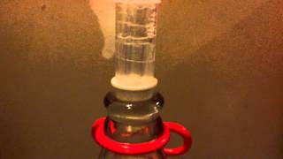 Fermentation Airlock Activity [upl. by Yelssew571]