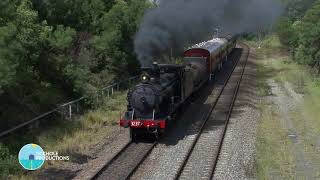 Steam Locomotives 6029 3016 3237 3265 2705 amp 3642  Festival of Steam Part 1  2015 [upl. by Anayk]