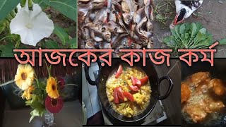 আজকে সারাদিন যা যা কাজ করলাম [upl. by Irej]