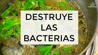 🟥 Como Eliminar las Bacterias del Intestino de Forma Natural y Segura [upl. by Peggy376]