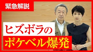 ポケベルにトランシーバー…ヒズボラの通信機器が相次いで爆発したけどなぜ？中東で一段と高まる危機を緊急解説！ [upl. by Denn550]