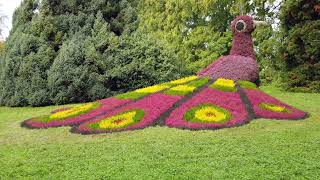 Insel Mainau [upl. by Anos283]