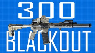 300blk As Fighting Rifle [upl. by Ylrbmik]