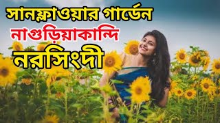 সানফ্লাওয়ার গার্ডেন নাগুরিয়াকান্দি ব্রিজ নরসিংদীNagoriakandi Bridge Narsingdi Nagoriakandi park [upl. by Bently]