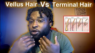 Vellus Hair Vs Terminal Hair Why Your Beard Is Shedding [upl. by Erda]