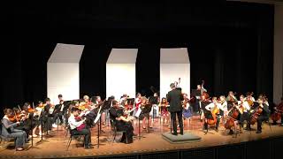 Simple Symphony IV Frolicsome Finale  Dublin Scioto High School Chamber Orchestra [upl. by Cordova820]