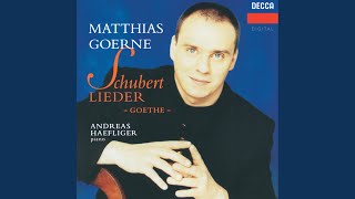 Schubert Nähe des Geliebten D 162 [upl. by Ecirehs]