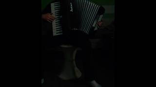 Drunken Sailor  Sea shanty  Accordion [upl. by Penman]