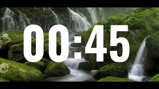 45 second timer  Forest Background🌲🌲 [upl. by Marb438]