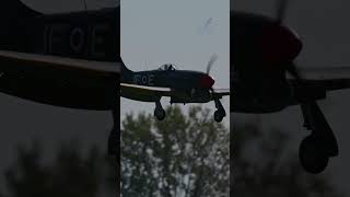 Realistic RC Hawker Tempest Clostermann Landing with Gear Down short shorts [upl. by Vaughn480]