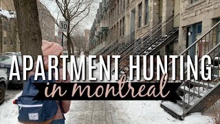 APARTMENT HUNTING IN MONTREAL [upl. by Airetahs]