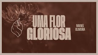 Rafael Oliveira  UMA FLOR GLORIOSA Harpa Cristã 196 [upl. by Harte]