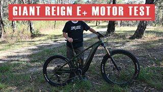 2022 Giant Reign E V Bosch V Brose V Shimano Hill Climb Test [upl. by Merilyn]