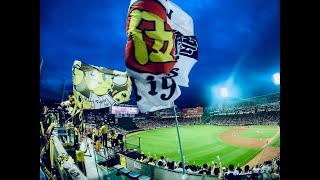 Hanshin Tigers vs Hiroshima Carp 4302024 [upl. by Furie]