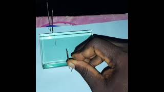 3 in one possible WAEC 2024 PHYSICS PRACTICAL ON OPTICS RECTANGULAR GLASS PRISM [upl. by Refitsirhc]