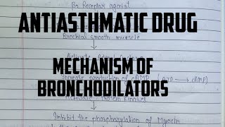 Mechanism of action for Bronchodilator  Beta 2 Agonist Anticholinergic agents  Methylxanthine [upl. by Mandeville]