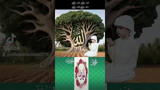 Saleem Monsrri Vlog Follow hi Farands islamicvideo 2024 [upl. by Goodyear420]