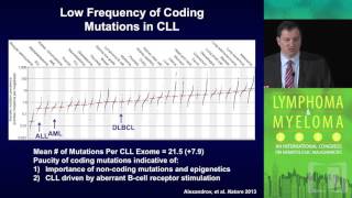 Risk Assessment in CLL Treatment [upl. by Bronson]