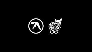 Aphex Twin  Forbidden Fruit 2011 [upl. by Ardni471]