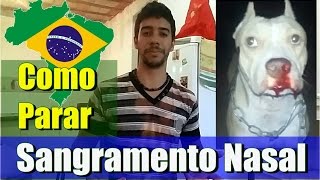 Sangramento Nasal Canino Resolvendo na Prática [upl. by Daisy]